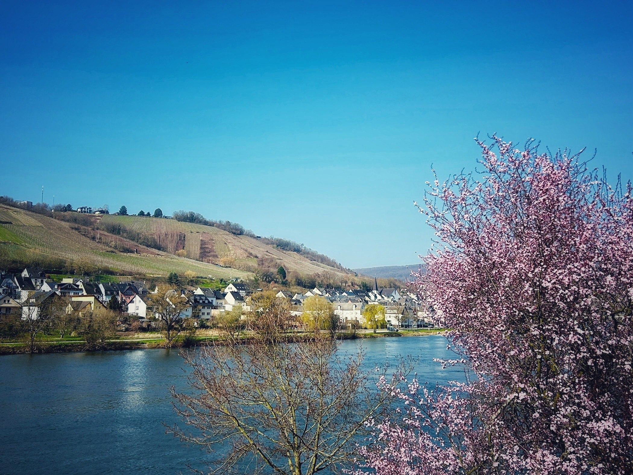 Ferienwohnung_the_happy_place_zell_Mosel